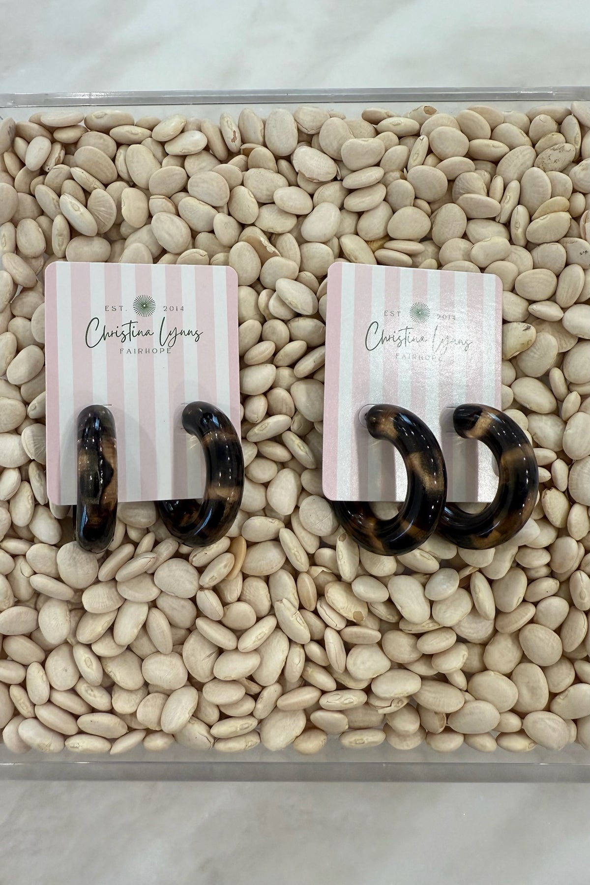 Tortoise Hoops