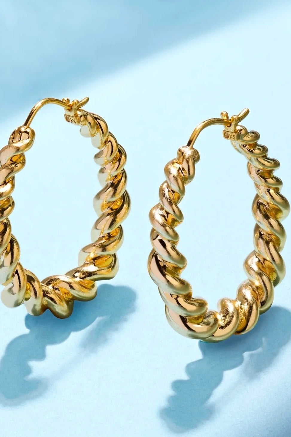 Haisley Hoop Earrings
