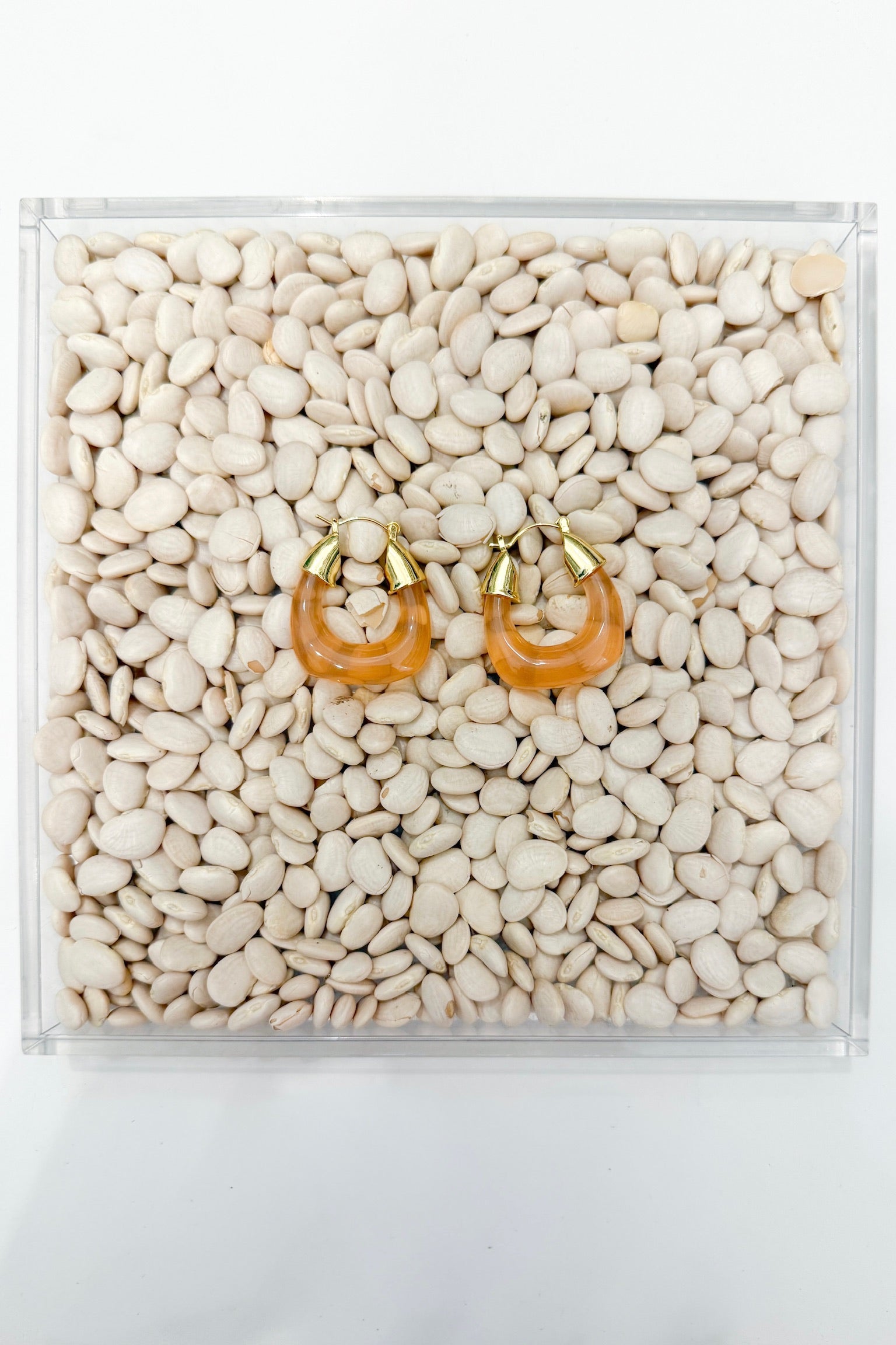 Lucite Hoop Earrings