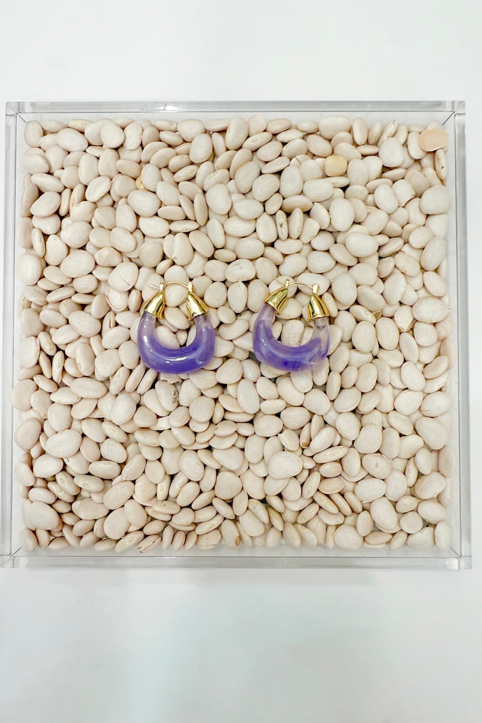 Lucite Hoop Earrings