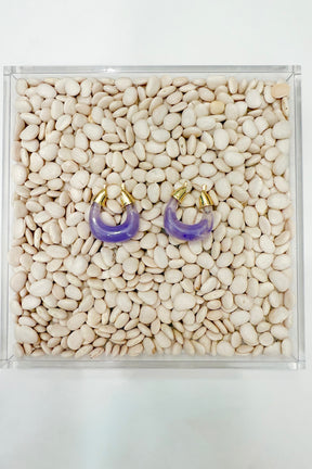 Lucite Hoop Earrings