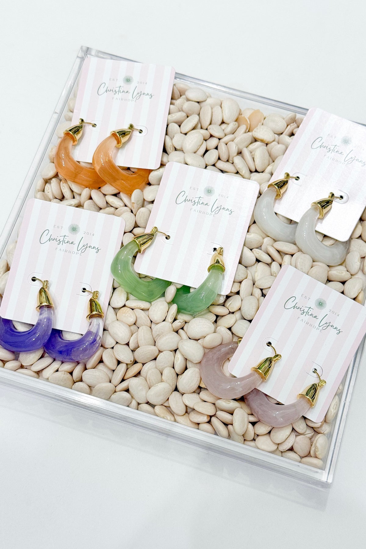Lucite Hoop Earrings