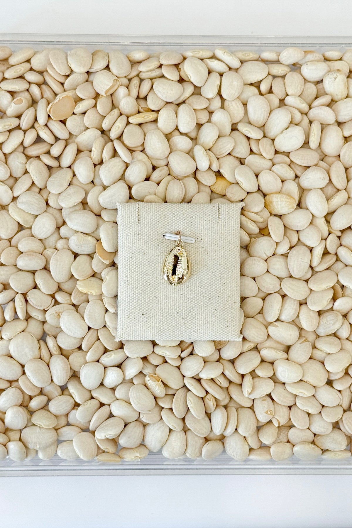 Gold Puka Shell Charm