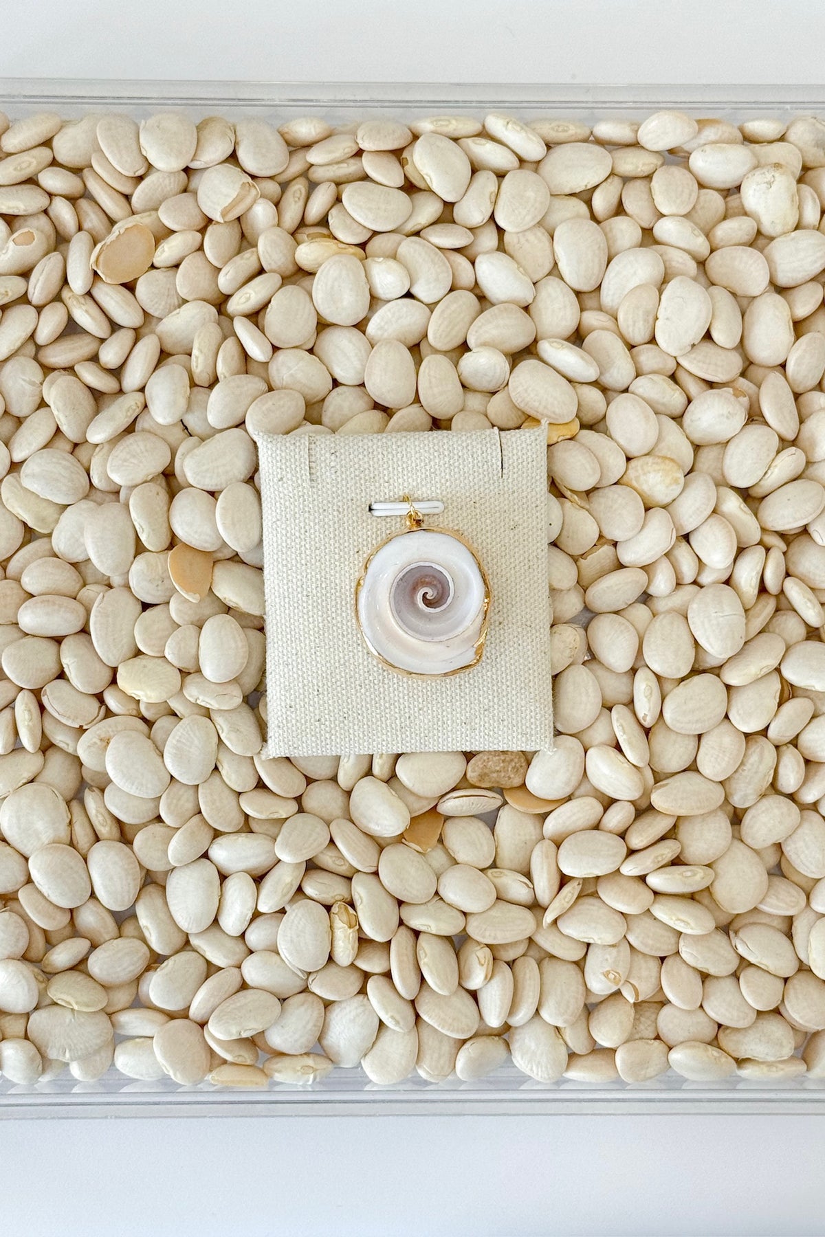 Round Shell Charm