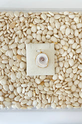 Round Shell Charm