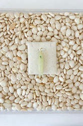 Stone Fish Charm